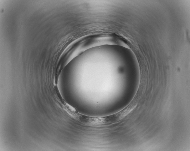 X0000060280288200510281240