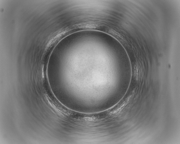 X0000060280302200510281239