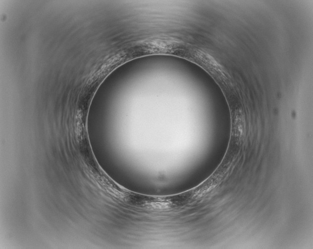 X0000060280318200510281238