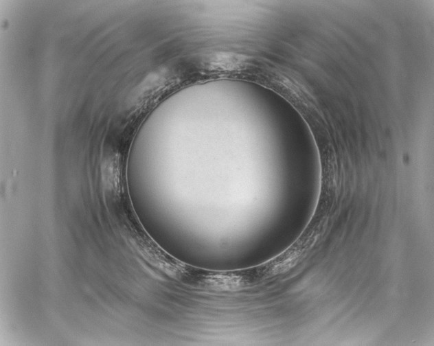 X0000060280328200510281238
