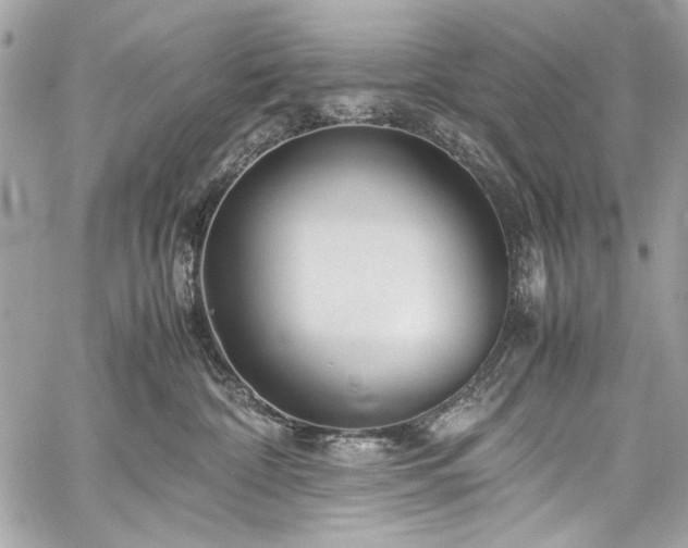 X0000060280332200510281238
