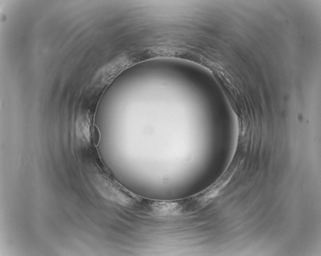 X0000060280334200510281238