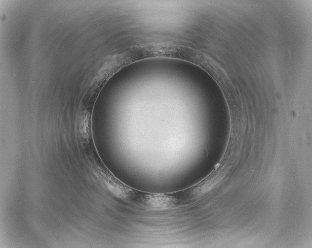 X0000060280336200510281238