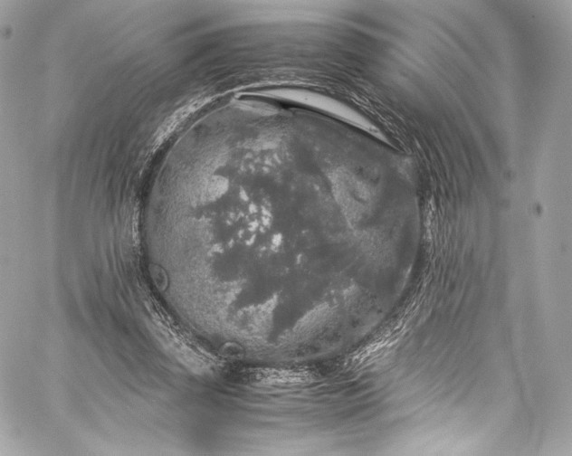 X0000060280347200510281237