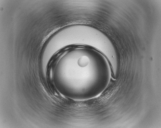 X0000060280348200510281237