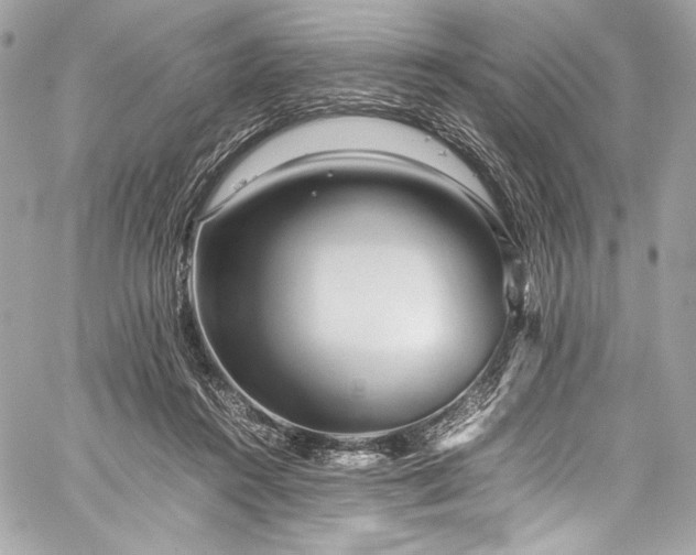 X0000060280360200510281238