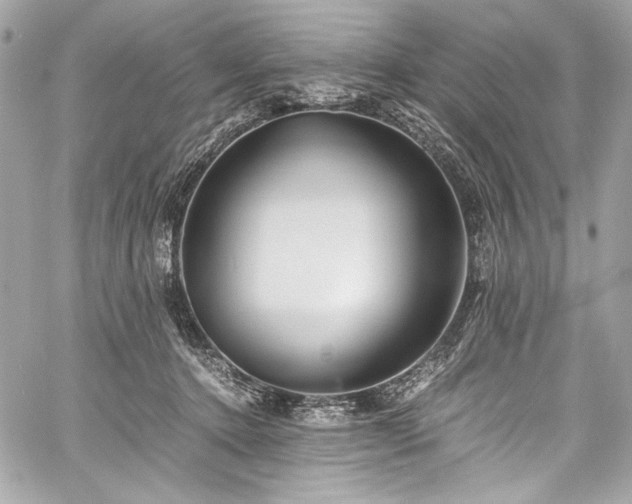 X0000060280368200510281238