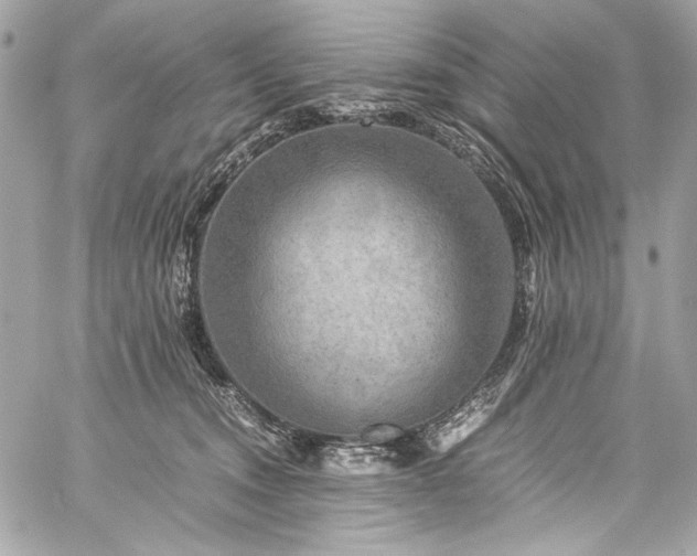 X0000060280372200510281238