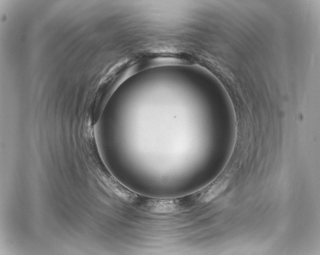 X0000060280384200510281238