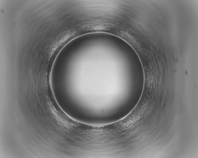 X0000060280394200510281237