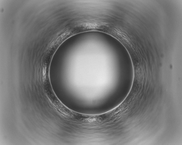 X0000060280406200510281237