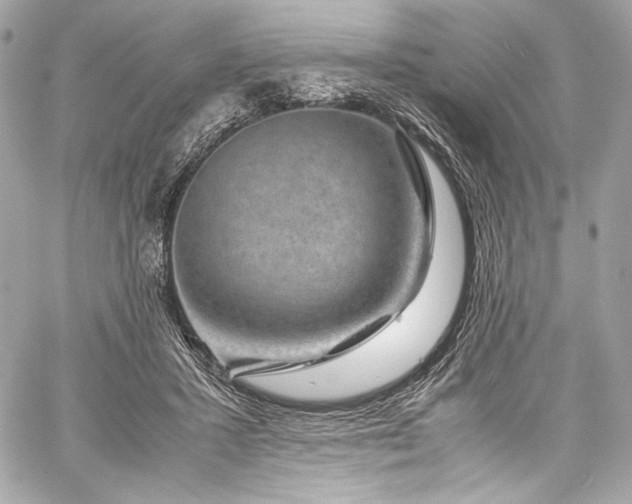 X0000060280407200510281237