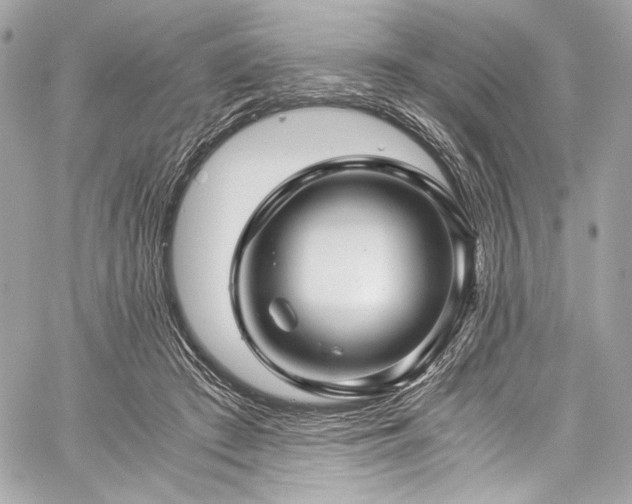 X0000060280409200510281237