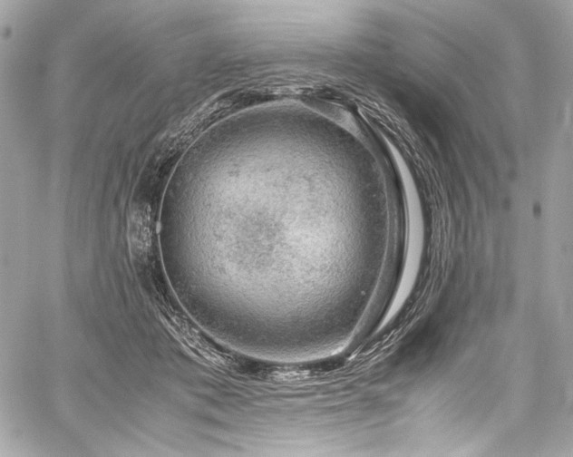 X0000060280413200510281237
