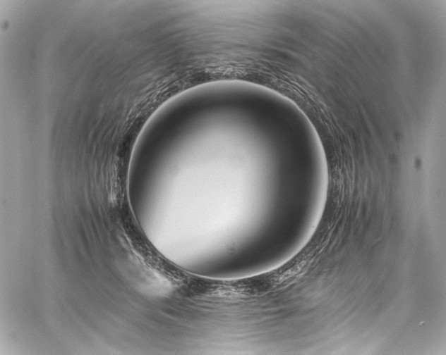 X0000060280416200510281237