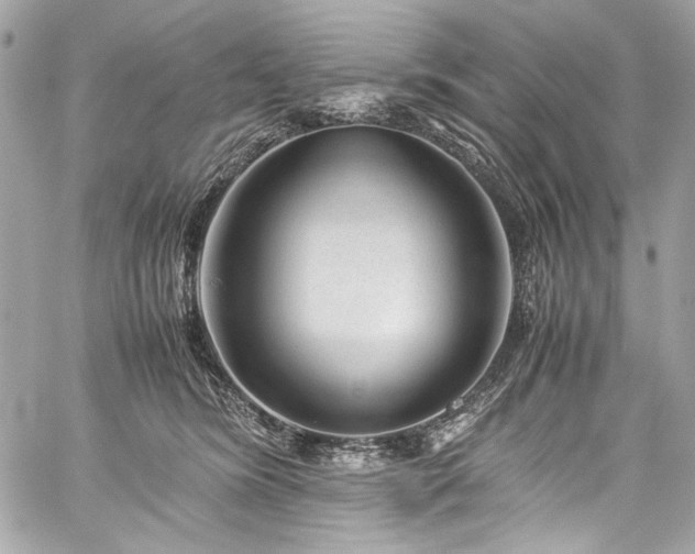X0000060280420200510281237