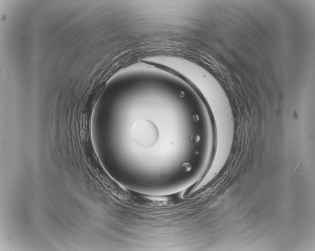 X0000060280421200510281237