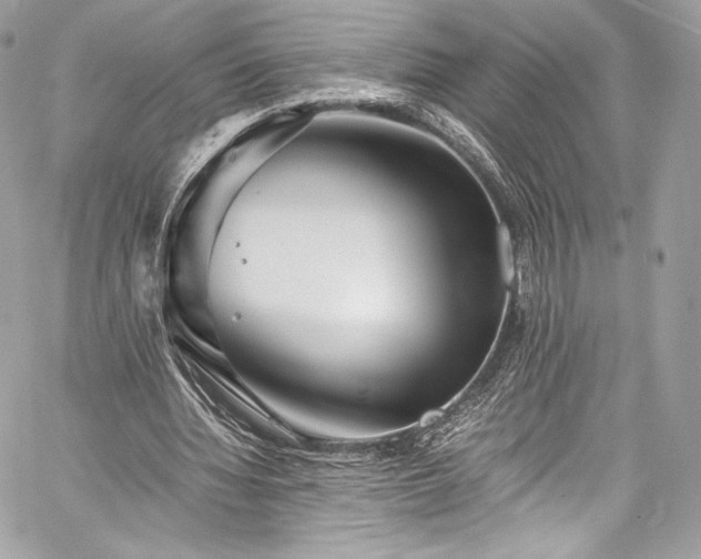 X0000060280436200510281236