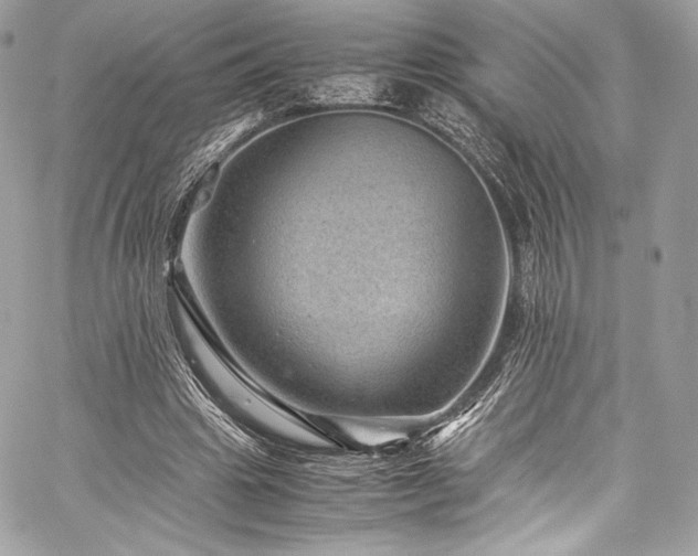 X0000060280441200510281236