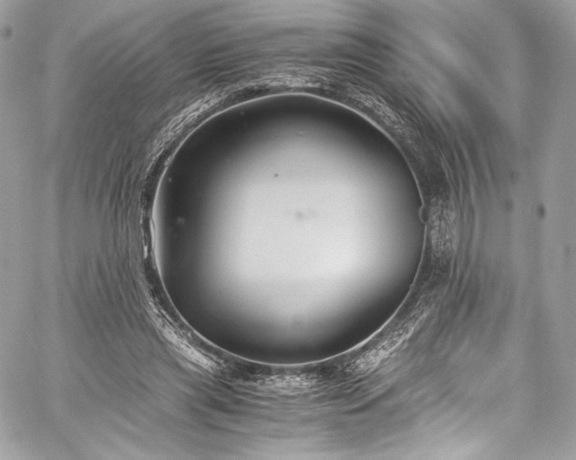 X0000060280445200510281236