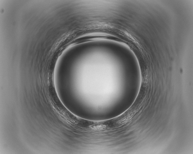 X0000060280452200510281236