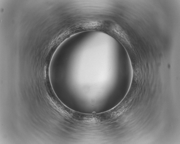 X0000060280454200510281236