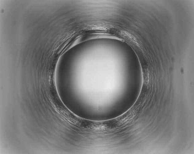 X0000060280456200510281236