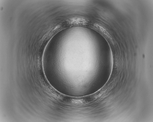 X0000060280457200510281236