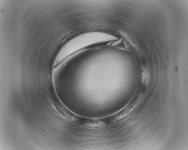 X0000060280459200510281236