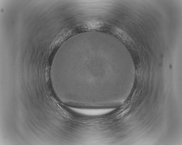 X0000060280462200510281236