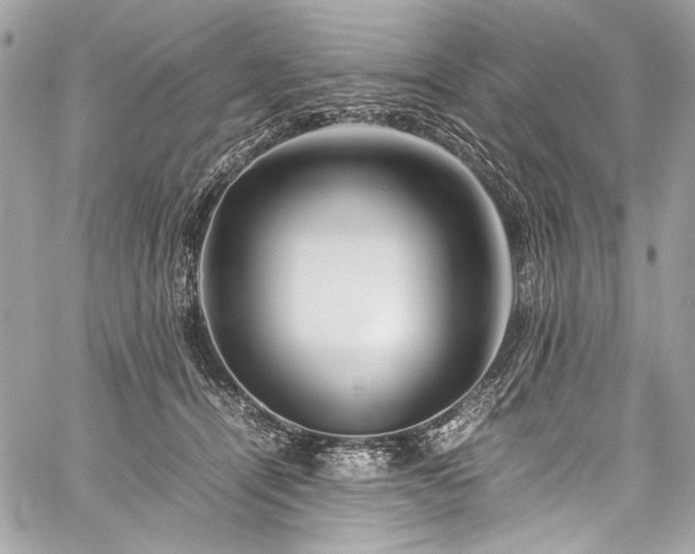 X0000060280464200510281236