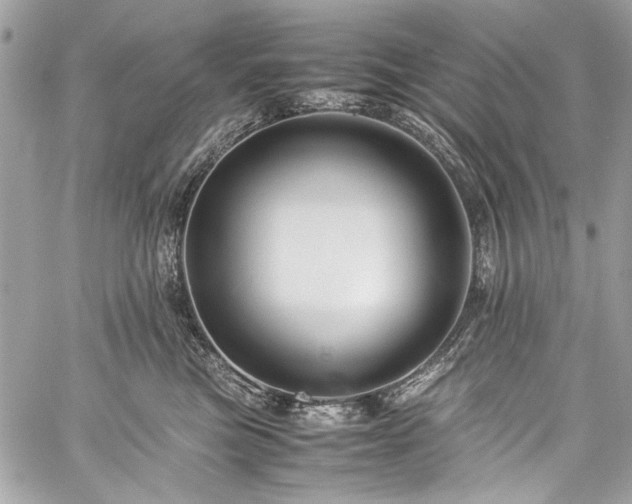 X0000060280473200510281236