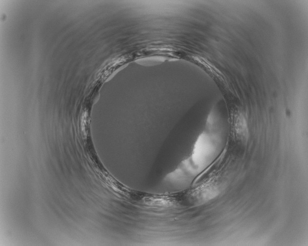 X0000060280475200510281236