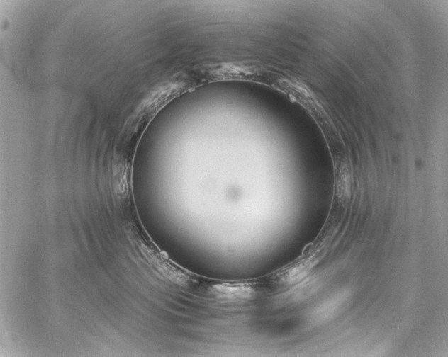 X0000060280477200510281236