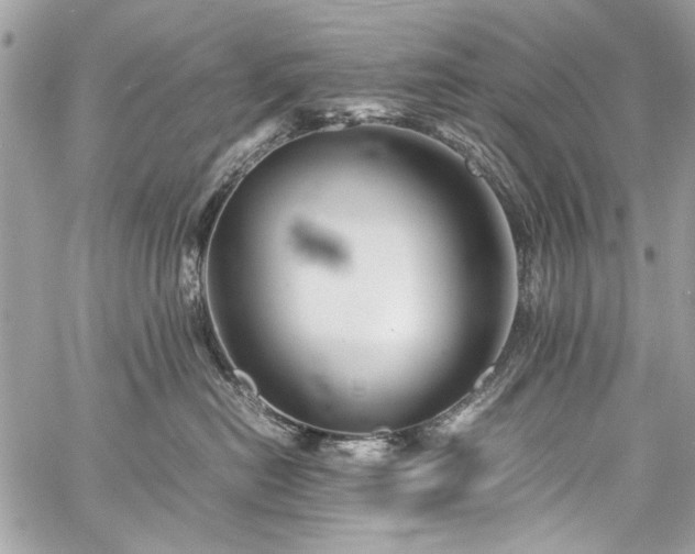 X0000060280478200510281236