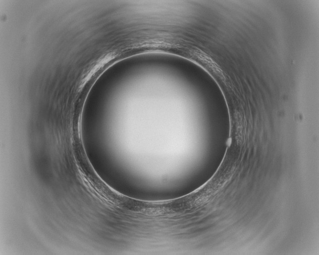 X0000060280482200510281236