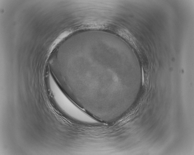 X0000060280483200510281236
