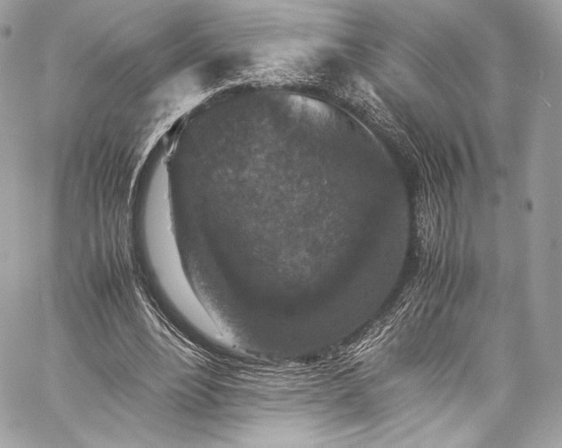 X0000060280488200510281236