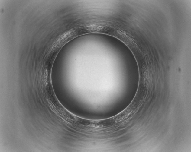 X0000060280498200510281235