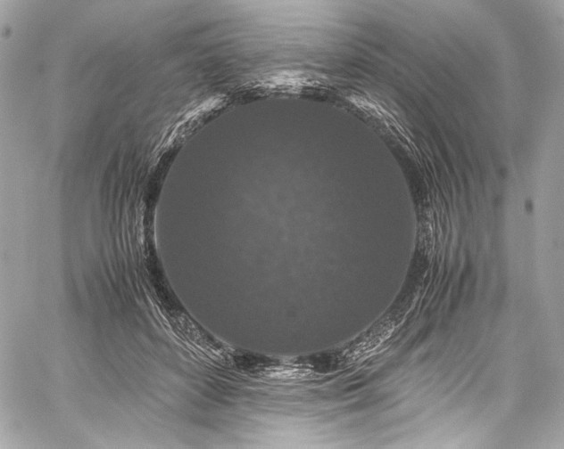 X0000060280504200510281235