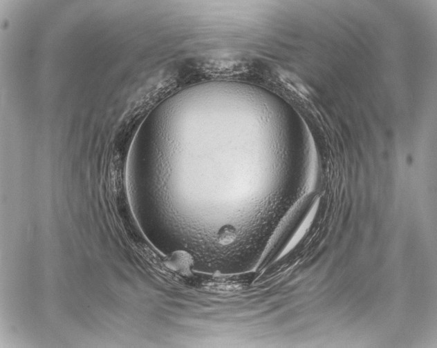 X0000060280515200510281235
