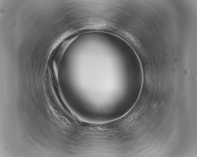 X0000060280532200510281234