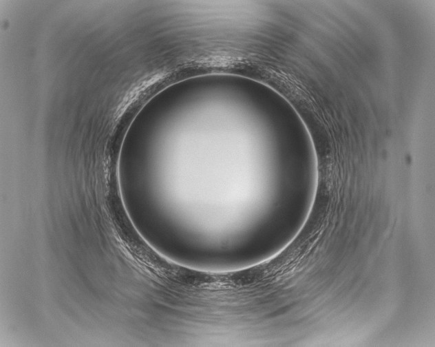 X0000060280544200510281234
