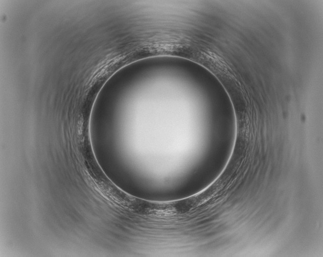 X0000060280548200510281234