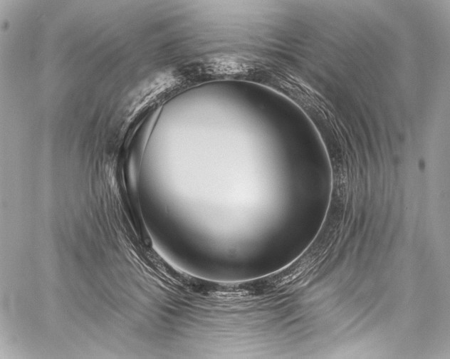 X0000060280556200510281235