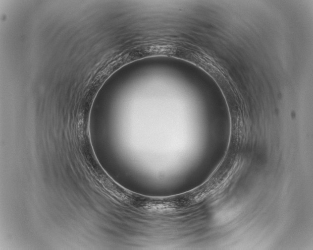 X0000060280557200510281235