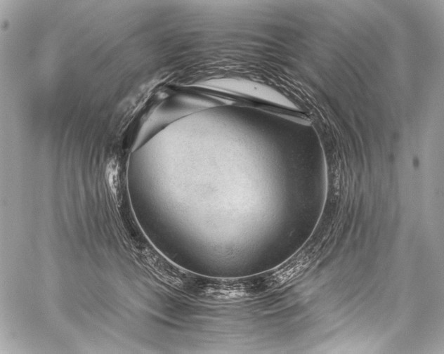 X0000060280559200510281235