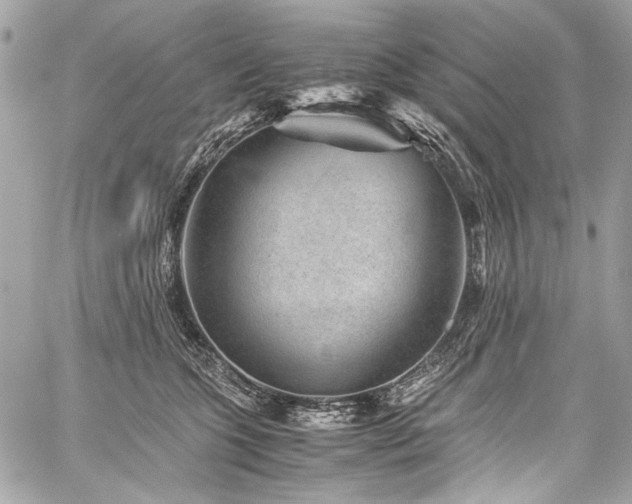 X0000060280563200510281235