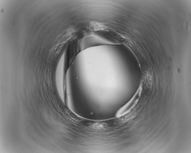 X0000060280566200510281235