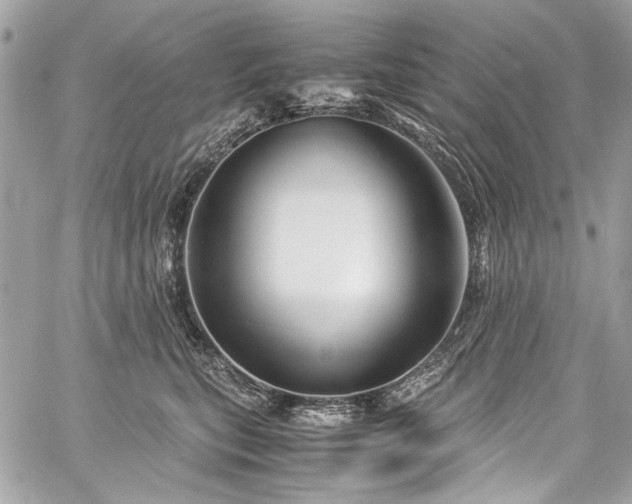 X0000060280567200510281235